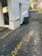 Marshallsingel 23003.JPG